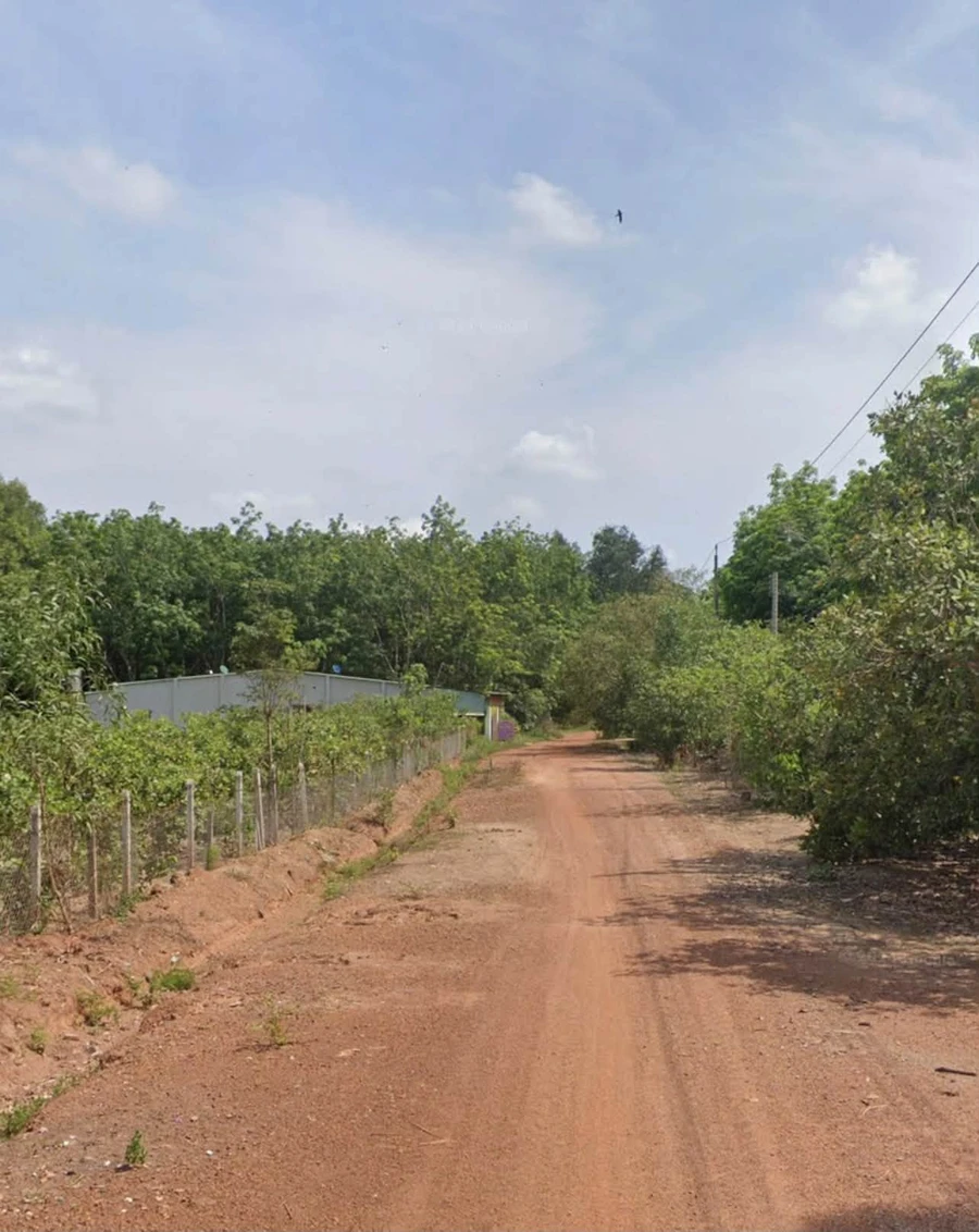 Bán đất 1300m2 giá 290 triệu, đường 19m, Bình Dương - Ảnh thu nhỏ 4