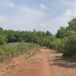 Bán đất 1300m2 giá 290 triệu, đường 19m, Bình Dương - Ảnh thu nhỏ 4