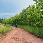 Bán đất 3,8 hecta Hiệp Bình Hóc Môn, gần Bách Huê - Ảnh thu nhỏ 5