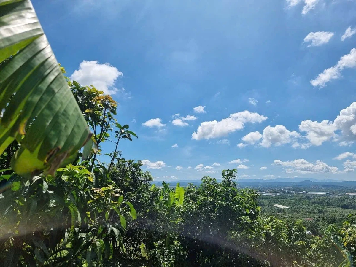 Bán đất vườn 1.200m² view hồ Trị An, Định Quán - Ảnh 1