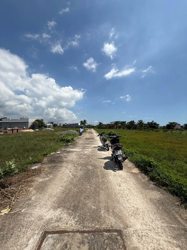 Bán 40 lô đất 100m² Phong Nẫm Bình Thuận 250 triệu/lô
