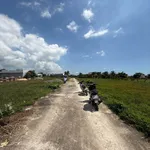 Bán 40 lô đất 100m² Phong Nẫm Bình Thuận 250 triệu/lô - Ảnh thu nhỏ 1