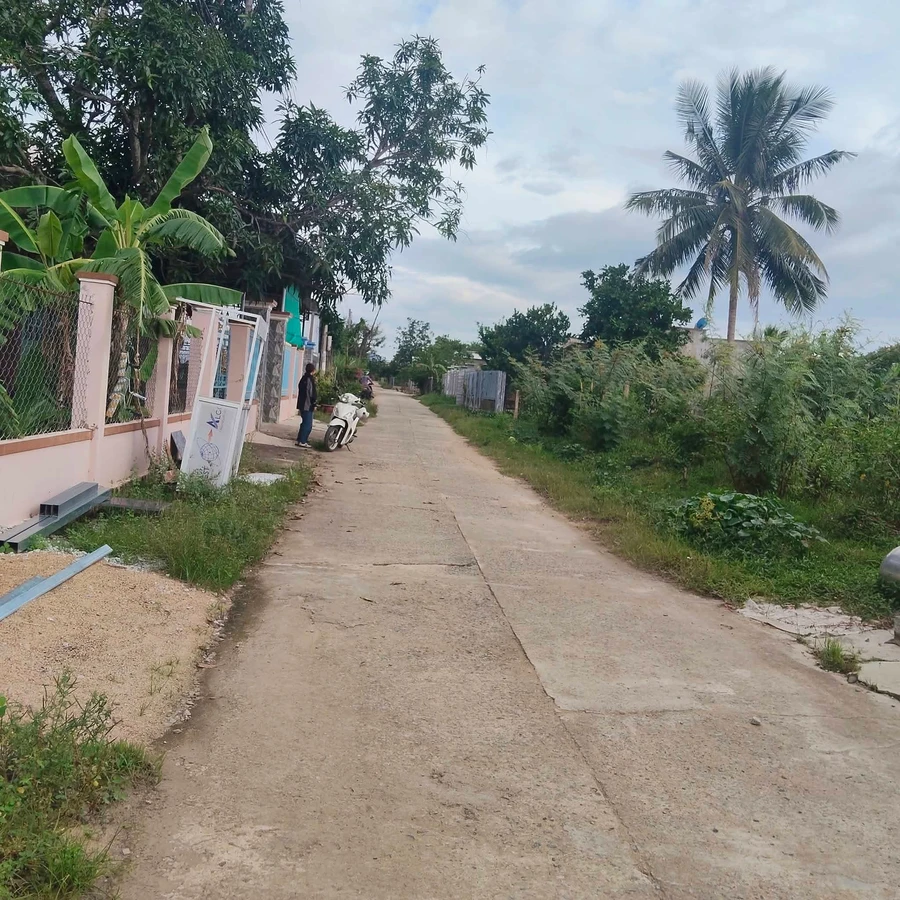 Bán lô đất nền 140m² Trà Giang Ninh Thuận giá 320 triệu - Ảnh thu nhỏ 3