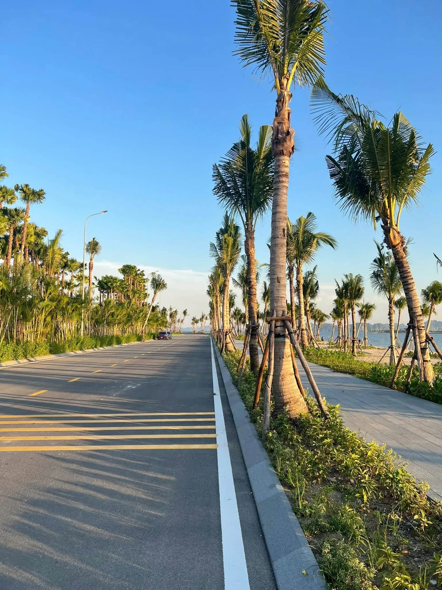 Bán studio Prima Bay 31,72m² view Vịnh Hạ Long 1,491 tỷ - Ảnh thu nhỏ 5