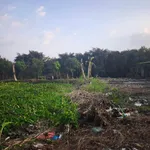 Bán đất Phường An Bình Cần Thơ 2.638 m2 giá 2 triệu/m2 - Ảnh thu nhỏ 5