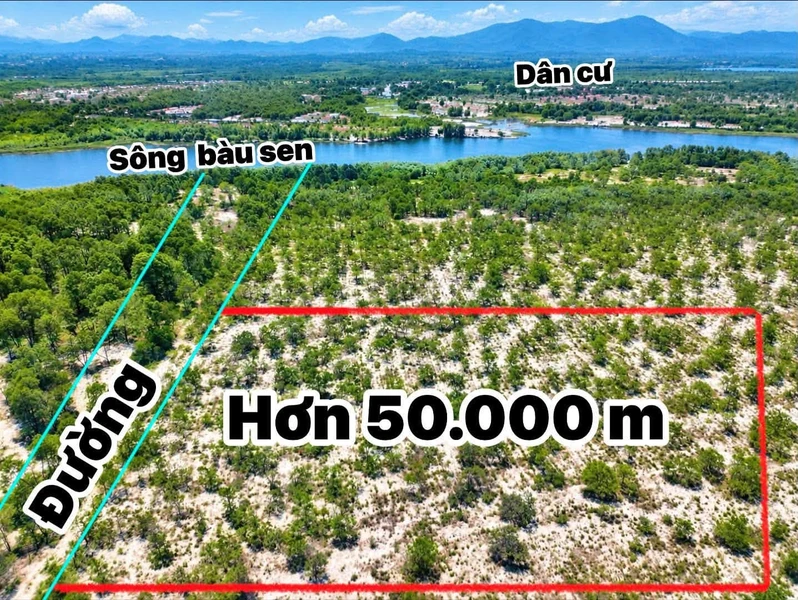 Bán đất rừng sản xuất 50.000 m2 tại Phong Thái, Huế
