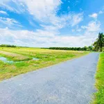 Bán 3 nền đất liền kề hơn 700m² mặt tiền lộ nhựa tại Xã Ngãi Tứ, Vĩnh Long - Ảnh thu nhỏ 2