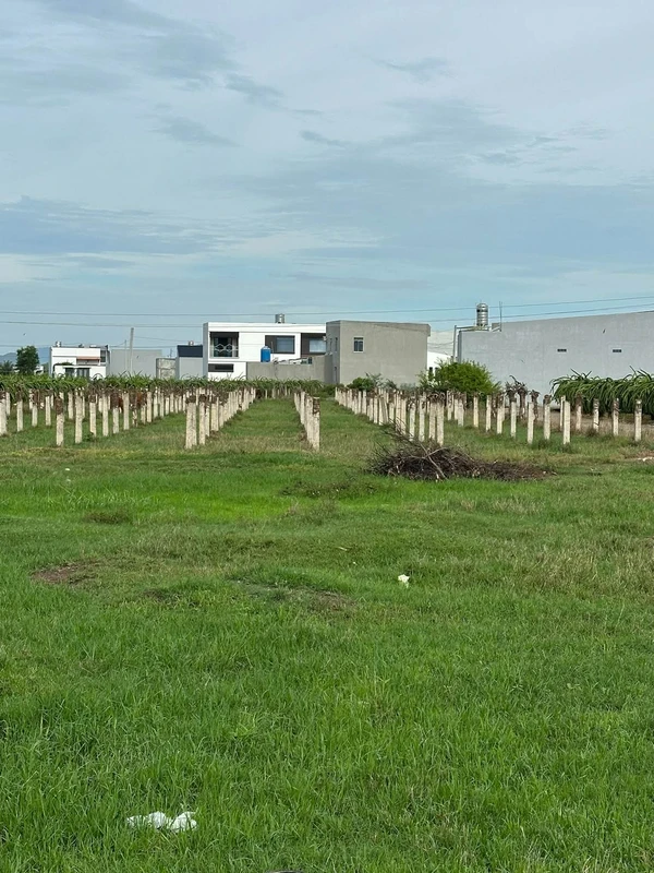 Bán lô đất 6x85m giá 465 triệu đối diện Khu du lịch Đoàn Thành, Buôn Ma Thuột c284