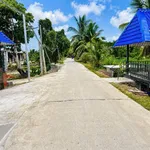 Bán nhà vườn view sông 746m² Bến Lức Tây Ninh - Ảnh thu nhỏ 1