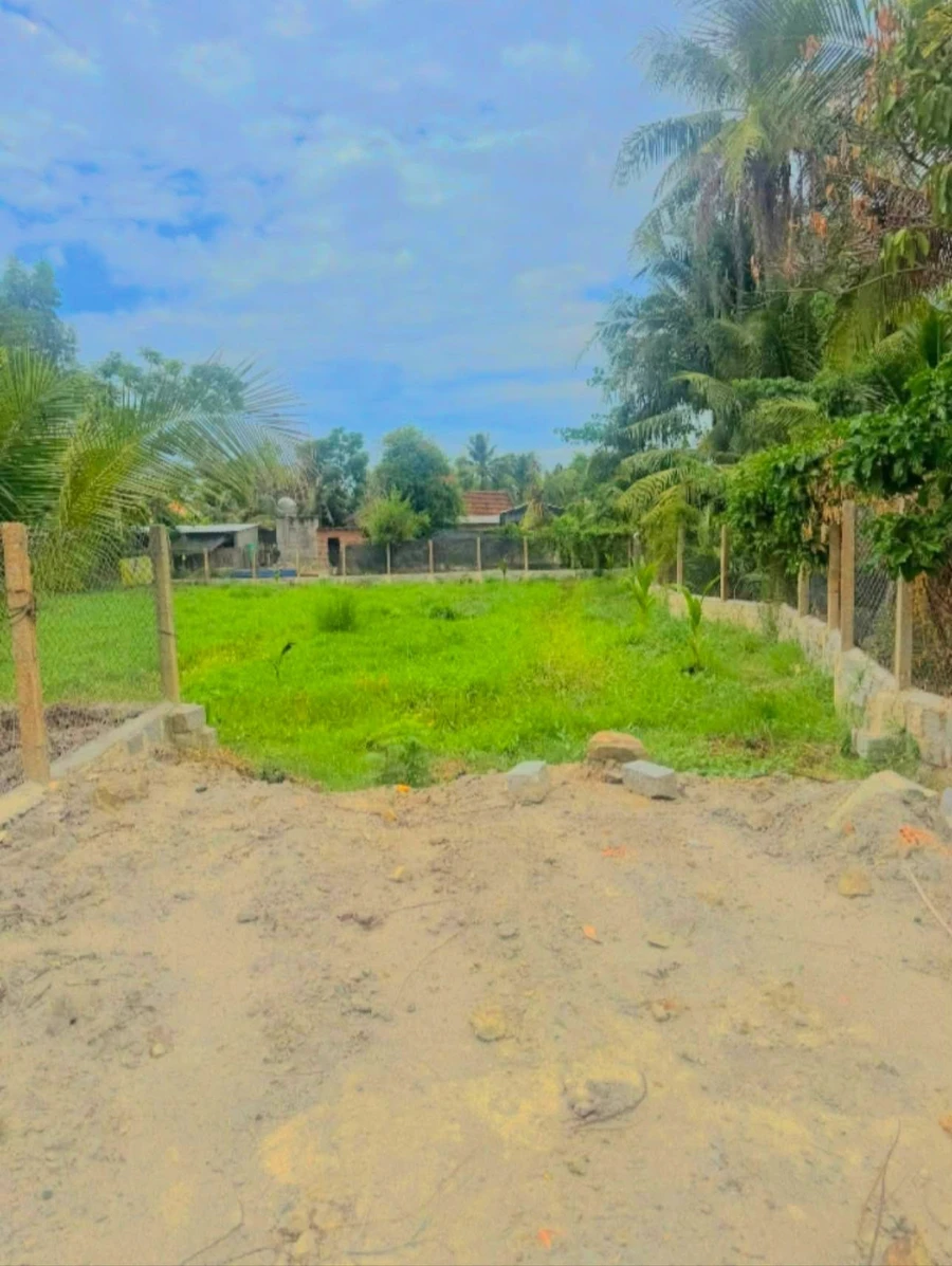 Bán đất Hòn Hèo 164m2 Ninh Hoà - Ảnh thu nhỏ 3