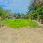 Bán đất Hòn Hèo 164m2 Ninh Hoà - Ảnh thu nhỏ 3