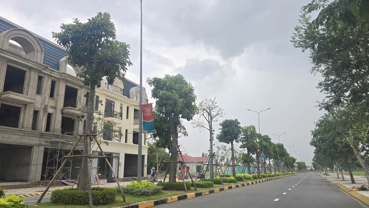 Bán gấp đất nền dự án The Solia 5x18m mặt tiền ĐT 824, Lương Hòa, Bến Lức - Ảnh thu nhỏ 3