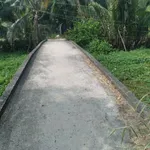 Bán đất vườn dừa 3.822 m² giảm giá - Ảnh thu nhỏ 3
