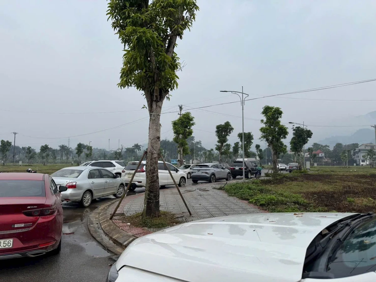 Bán đất nền 120m mặt 6m khu đô thị Thống Nhất Hòa Bình - Ảnh thu nhỏ 2