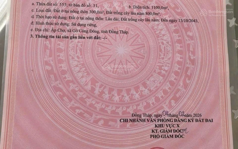 Gò Công Đông: 2,1 tỷ (còn thương lượng) chủ ngộp cần bán gấp lô đất 1.100 m2 F0!