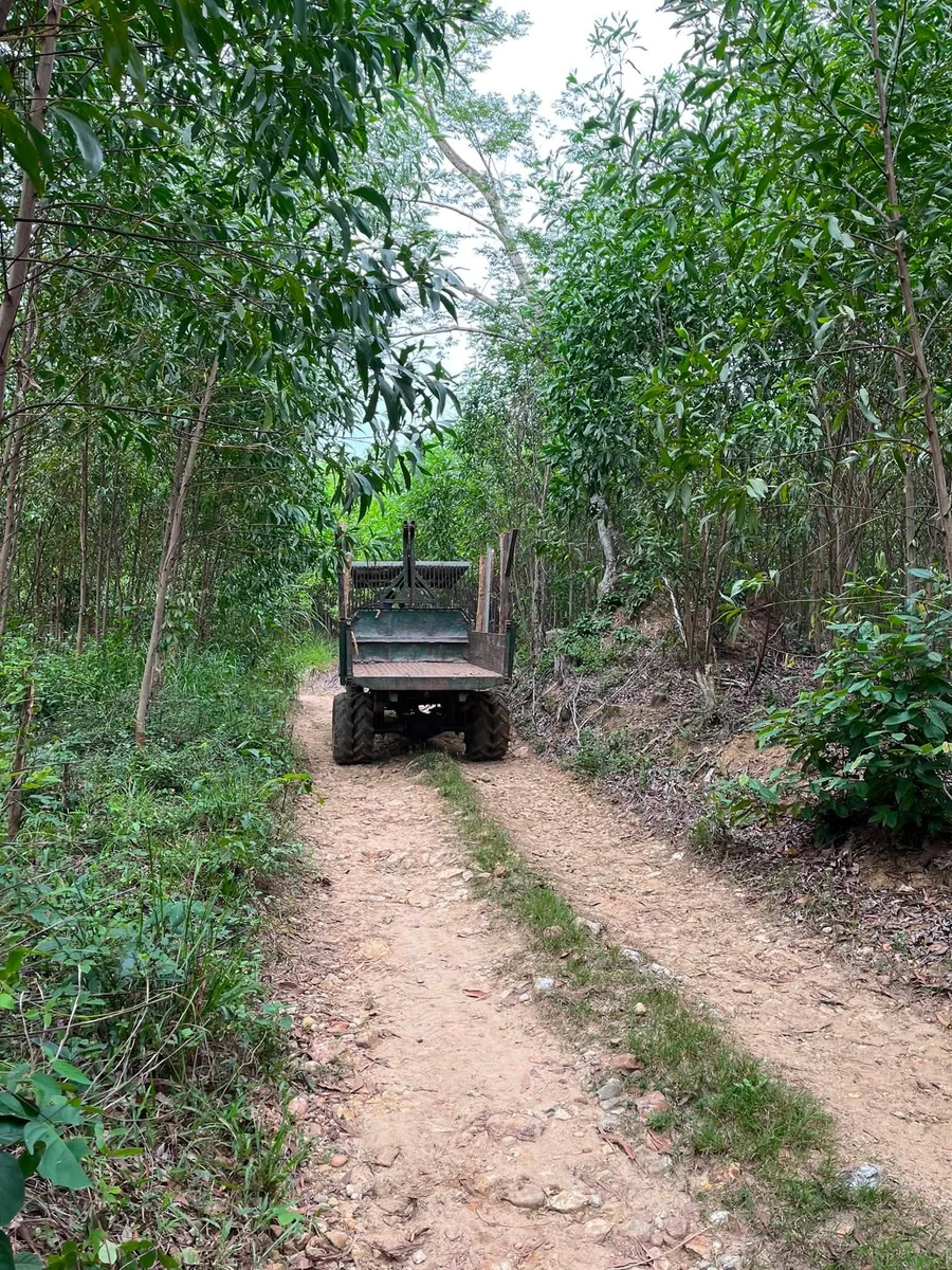 Bán 3500m² đất giáp suối Khánh Vĩnh, Khánh Hòa 390 triệu - Ảnh thu nhỏ 5