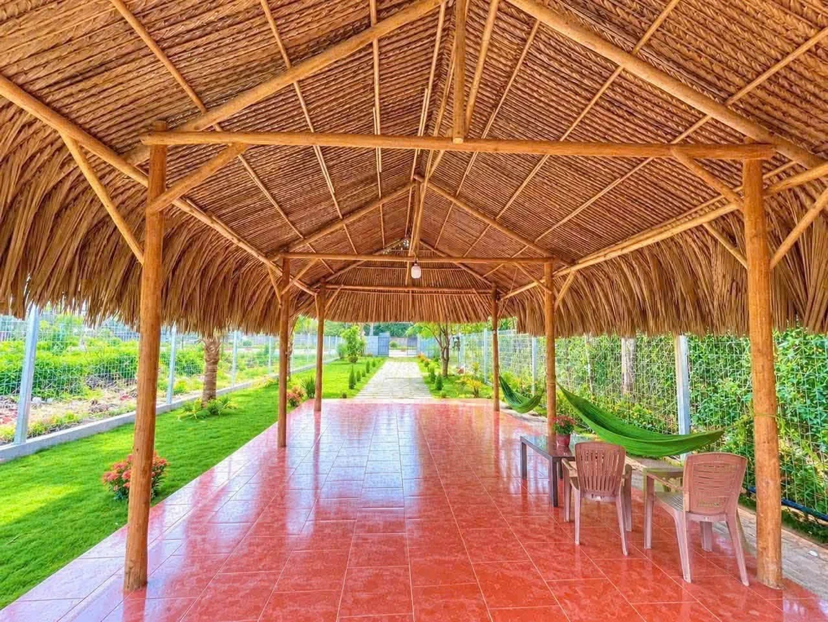 Bán đất 365m² mặt tiền TL52 Đất Đỏ, Bà Rịa - Vũng Tàu - Ảnh thu nhỏ 5