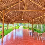 Bán đất 365m² mặt tiền TL52 Đất Đỏ, Bà Rịa - Vũng Tàu - Ảnh thu nhỏ 5