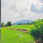 Bán đất nền 150m² sổ riêng 430 triệu Bình Dương - Ảnh thu nhỏ 3