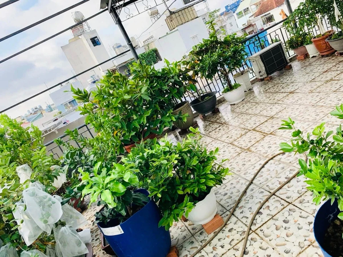 Nhà 4 tầng 60m2 cho thuê 9 phòng, Phường 5 Bình Thạnh, giá 6 tỷ - Ảnh thu nhỏ 4