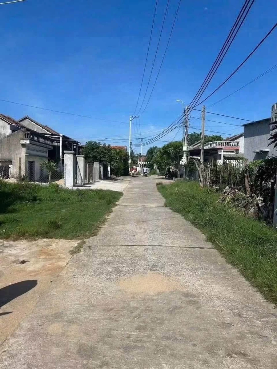 Bán nhà cấp bốn 250m² Thọ Lâm giá 1,39 tỷ - Ảnh 1