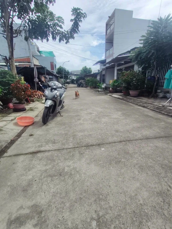 Bán nhà gần chợ Ba Vát, Bến Tre, 164m², 850 triệu