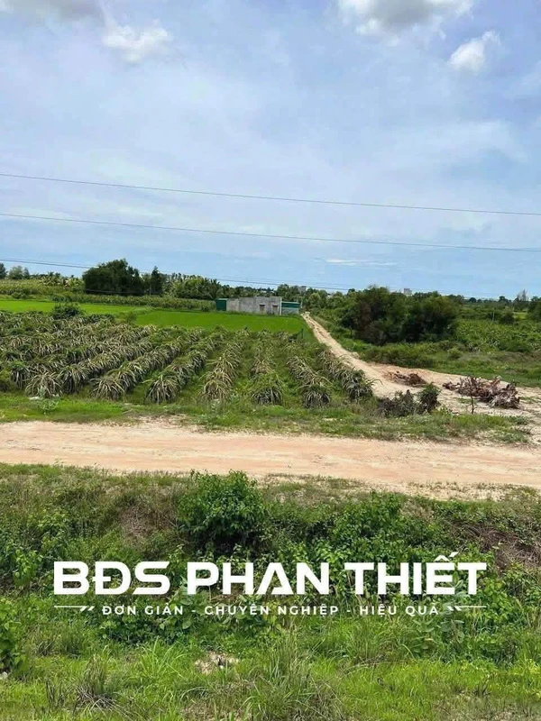 Bán lô góc 2 mặt tiền Hàm Liêm 2.711 m² Phan Thiết