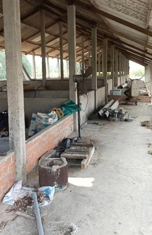 Bán trang trại 10.000m² Mỹ Thạnh Tân Trụ - 6,499 tỷ