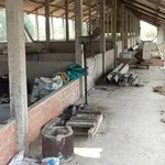 Bán trang trại 10.000m² Mỹ Thạnh Tân Trụ - 6,499 tỷ - Ảnh thu nhỏ 1