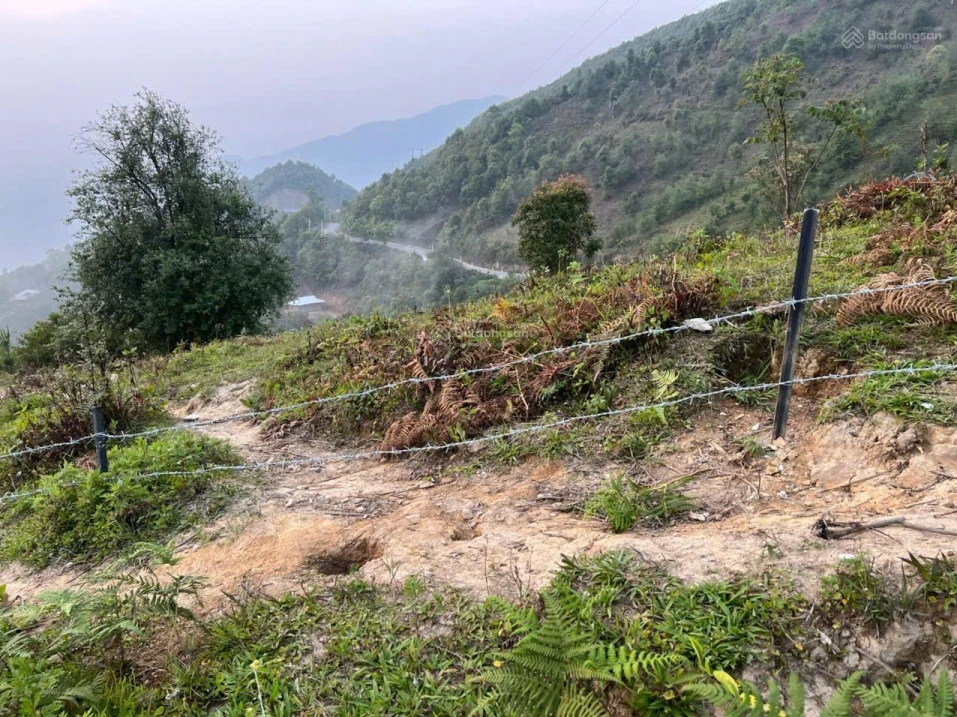 Bán 8000m2 đất có 100m mặt đường TL112 - Tà Xùa, giá tốt chỉ với 2,9 tỷ, View thung lũng Mây - Ảnh 1