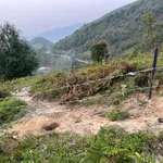 Bán 8000m2 đất có 100m mặt đường TL112 - Tà Xùa, giá tốt chỉ với 2,9 tỷ, View thung lũng Mây - Ảnh thu nhỏ 1
