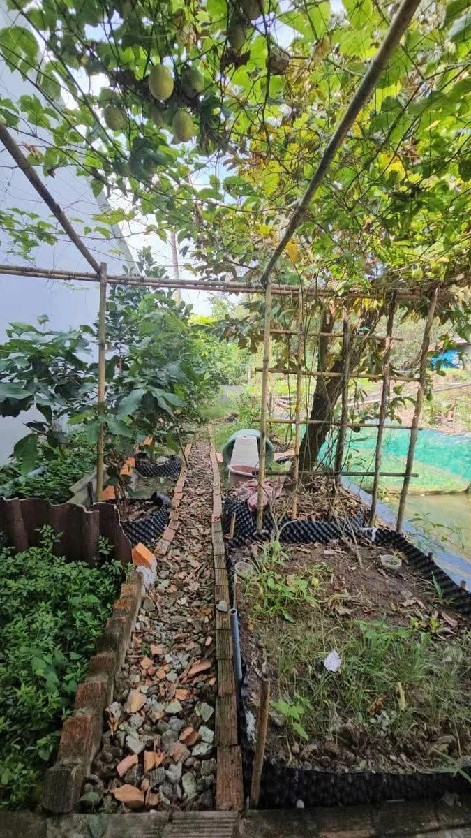 Nhà vườn 360m² với ao cá, vườn cây tại Cà Mau - Ảnh thu nhỏ 5