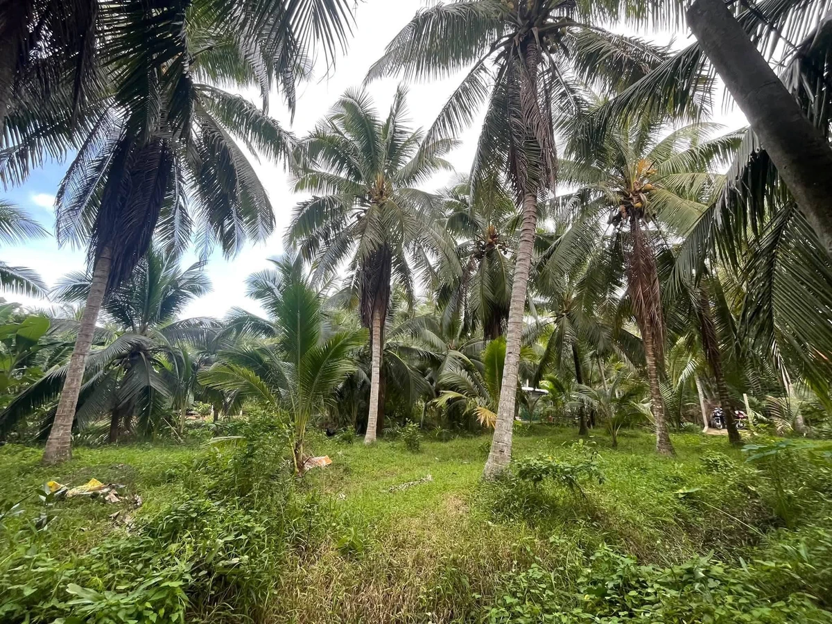 Bán đất Tân Thanh Tây 1500m², 300m thổ cư 690 tỷ - Ảnh 1