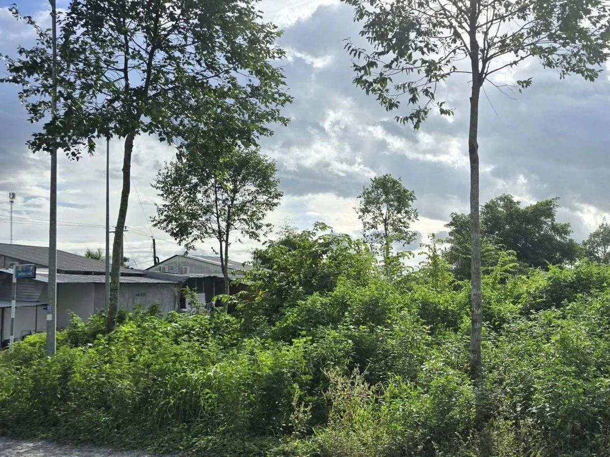 Bán đất mặt tiền đường D25 104m2 KDC Hồng Loan, Hưng Thạnh, Cần Thơ giá 3,8 tỷ - Ảnh thu nhỏ 5