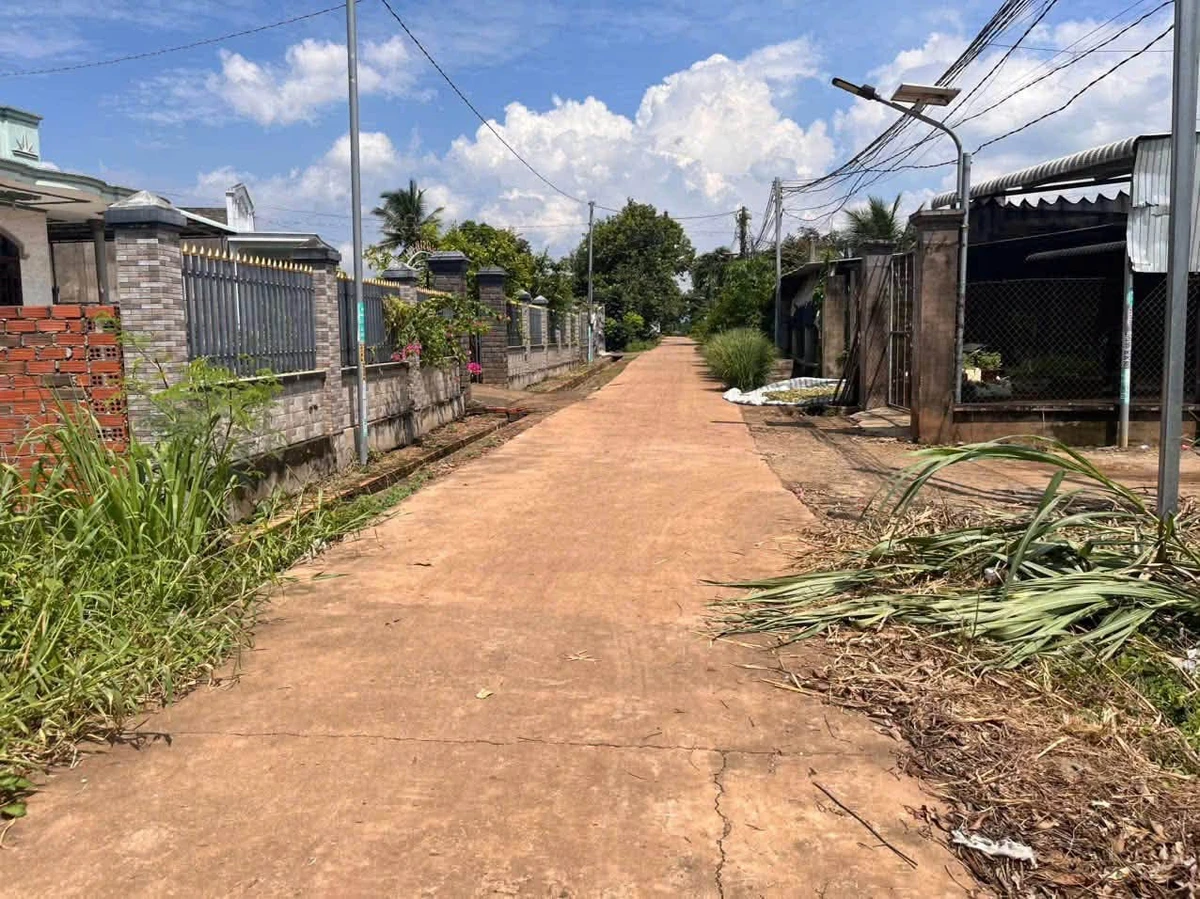 Bán đất Hóc Môn 145m² full thổ 350 triệu - Ảnh thu nhỏ 2