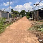 Bán đất Hóc Môn 145m² full thổ 350 triệu - Ảnh thu nhỏ 2
