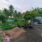 Bán nhà 1 phòng ngủ 760m2 mặt tiền Huỳnh Tấn Phát, Bến Tre - Ảnh thu nhỏ 3