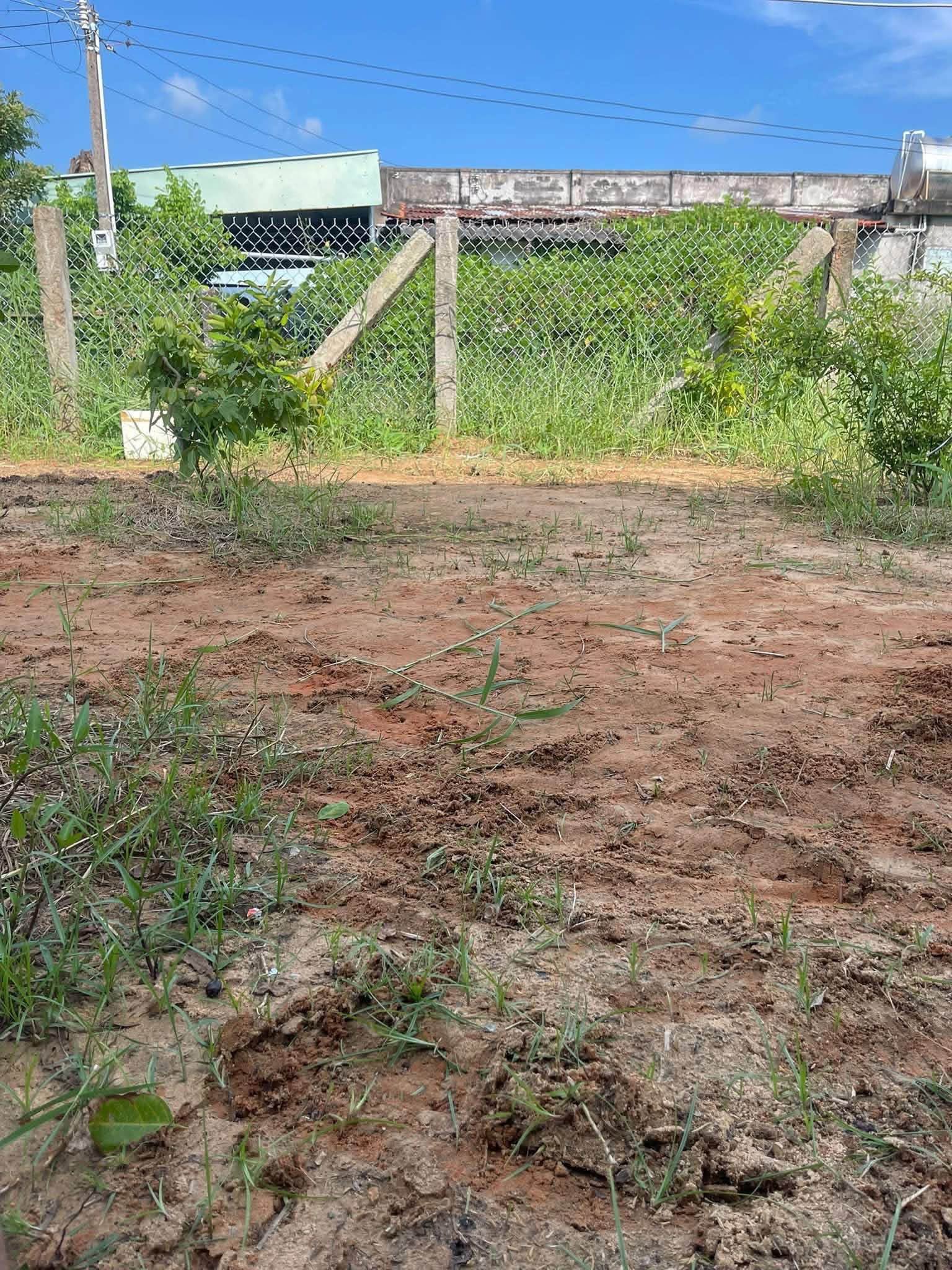 Bán đất thổ cư 130m² giá 590 triệu Xã Lỗ - Ảnh thu nhỏ 5