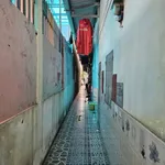 Bán nhà mặt tiền 198m² Dĩ An, Bình Dương - Ảnh thu nhỏ 5