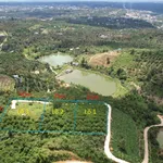 Bán đất vườn 3533m² 3 sổ riêng Lộc Thành Bảo Lộc 2,6 tỷ - Ảnh thu nhỏ 4