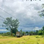 Bán 2ha đất nông nghiệp đường 19/5, view đồi đẹp - Ảnh thu nhỏ 5