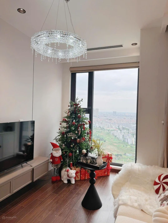 Tôi chính chủ bán lỗ 2 căn 2PN 55m2 3,25 tỷ, 2PN+ 63m2 3,75 tỷ phân khu cao cấp Vinhomes Smart City - Ảnh thu nhỏ 4