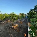 Bán nhà vườn 2000m2 có 5 phòng trọ đang cho thuê tại xã Mỹ An, Tây Ninh - Ảnh thu nhỏ 5