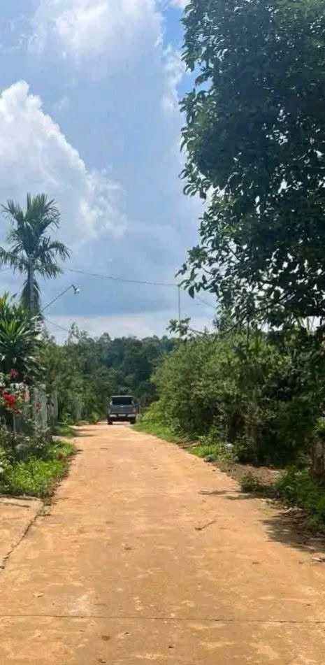 Bán đất Vinh Hương Nhà Bè 125m² 610 triệu - Ảnh 1