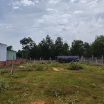 Bán nhà vườn 1000m² có nhà 2PN ở Thiện Nghiệp Phan Thiết - Ảnh thu nhỏ 2