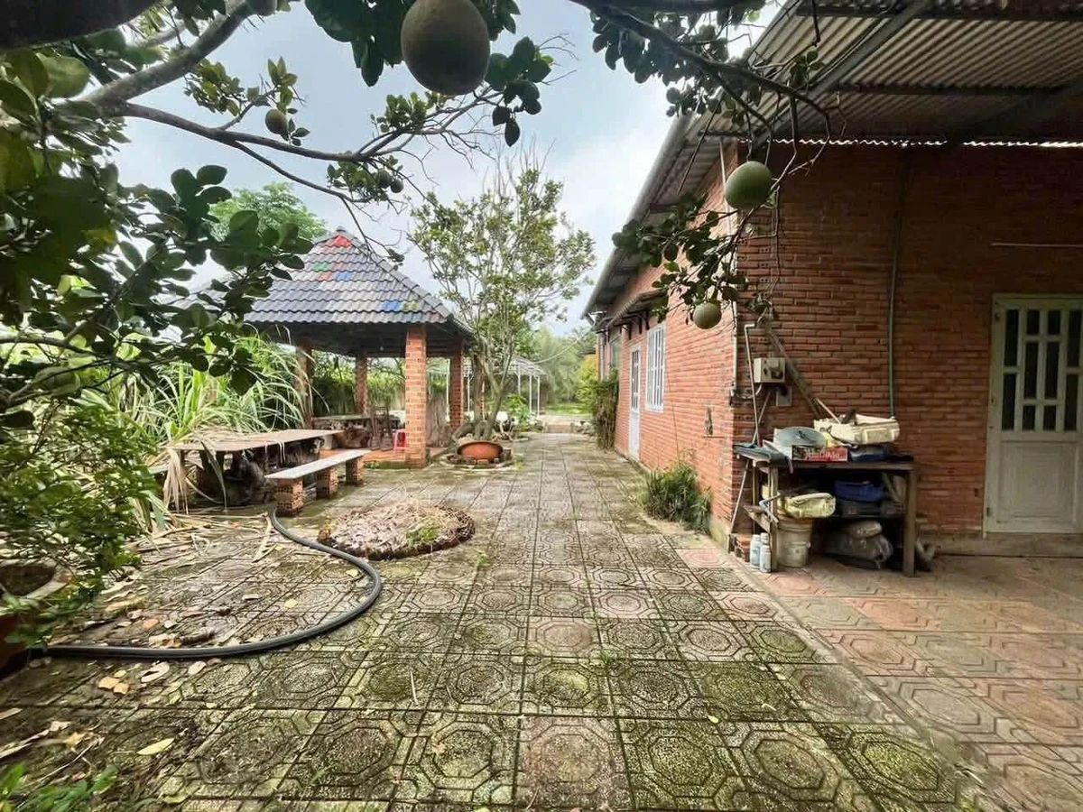 Bán nhà vườn 2300m2 có hồ bơi, Đồng Nai, 1.85 tỷ - Ảnh 1