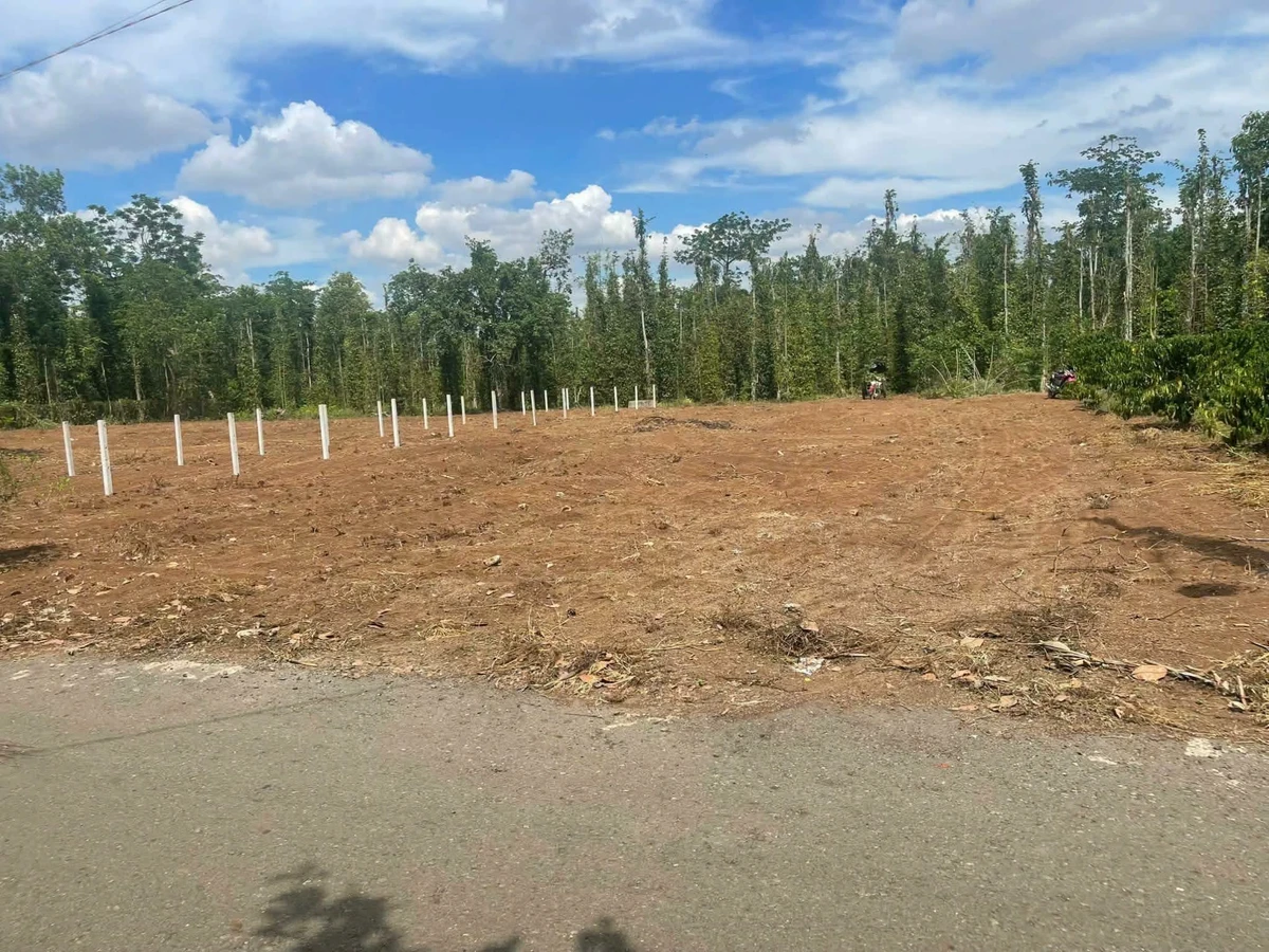 Bán đất lớn 16000m² mặt tiền đường chính Bình Chánh 600 triệu - Ảnh thu nhỏ 3