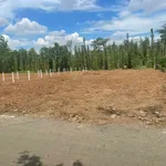 Bán đất lớn 16000m² mặt tiền đường chính Bình Chánh 600 triệu - Ảnh thu nhỏ 3