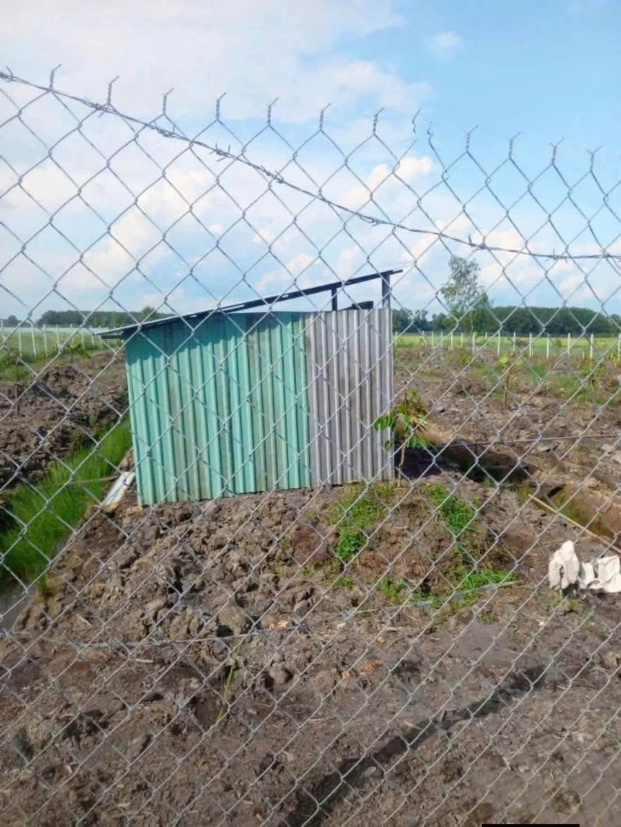 Bán đất vườn sầu riêng 2.248m2 mặt tiền kênh T5 giá 3,1 tỷ tại Phú An - Ảnh thu nhỏ 3