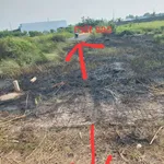 Bán nền đất 87m² thổ cư Tân Lân Nam Phong Cần Dước 790 triệu - Ảnh thu nhỏ 3